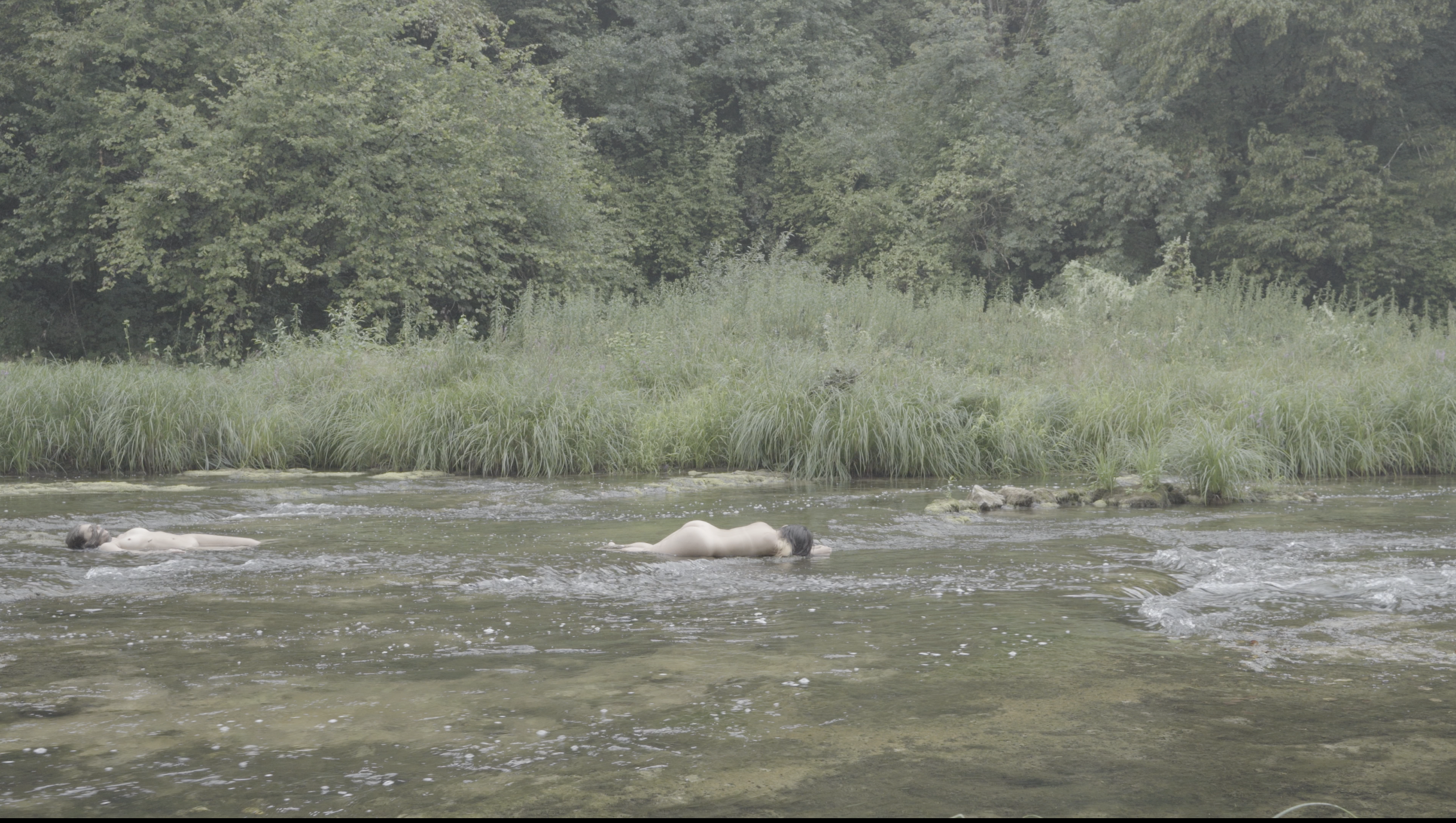 創作筆記: 夢裡的瀑布、失根的樹、身體的河 Creative Notes: The Waterfall in Dreams, the Uprooted Tree, the River of the Body